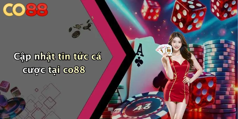 Cập nhật tin tức cá cược tại co88