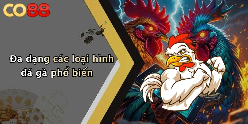 Đa dạng các loại hình đá gà phổ biến