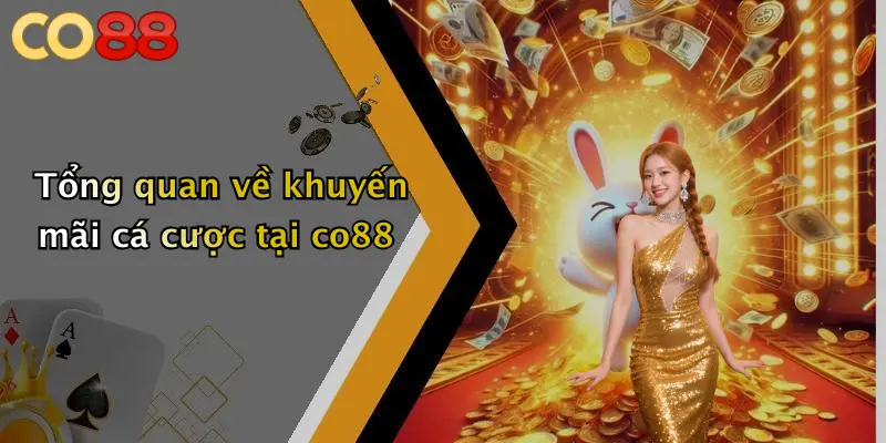Tổng quan về khuyến mãi cá cược tại co88